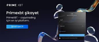 The Ultimate Guide to PrimeXBT Forex Trading 14 The Ultimate Guide to PrimeXBT Forex Trading 14